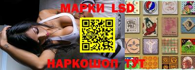 spice Кимры